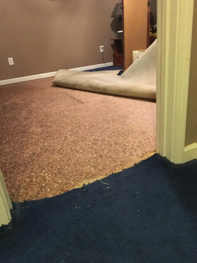 Carpet pad removal revealing water damage during Water Mitigation Services in Cody