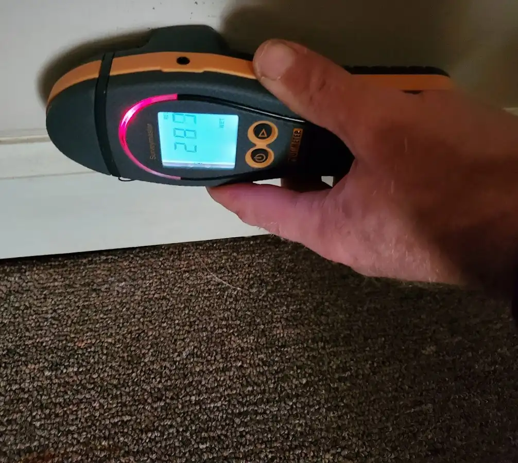 Moisture detection at baseboard during Mold Inspection & Testing in Cody